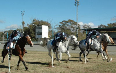 tentpegging